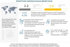 タンパク質加水分解酵素市場 : 原料 (微生物、動物、植物)、生産方法 (発酵と抽出)、製品、用途 (洗剤、医薬品、食品、繊維、皮革)、地域別 - 2027 年までの世界予測