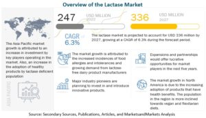 Lactase Market by Source (Yeast, Fungi, and Bacteria), Form (Liquid and Dry), Application (Food & Beverages and Pharmaceutical products & Dietary Supplements), Region (North America, Europe, Asia Pacific, South America and RoW) - Global Forecast to 2027