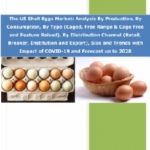 米国の殻付き卵市場 : 生産、消費、タイプ（ケージ飼育、放し飼い＆ケージフリー、放牧飼育）、流通チャネル（小売、ブレーカー、施設、輸出）、地域規模別分析と動向 - 2028年までの予測 The US Shell Eggs Market: Analysis By Production, By Consumption, By Type (Caged, Free Range & Cage Free and Pasture Raised), By Distribution Channel (Retail, Breaker, Institution and Export), Size and Trends with Impact of COVID-19 and Forecast up to 2028