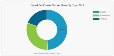 エンドウ豆タンパク質市場　2024-2032年